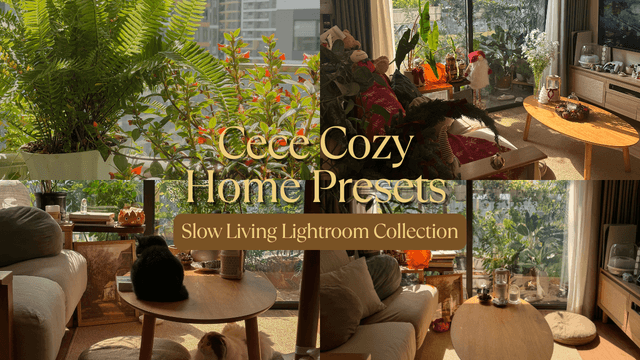Cozy Home Presets